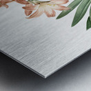 Amaryllis Belladonna illustration  Metal print