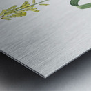 Opal flower illustration  Metal print