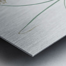 Pale garlic illustration  Metal print