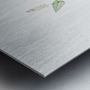 Mayanthemum illustration  Metal print