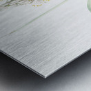 Branched asphodel illustration  Metal print