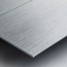 Mountain garlic illustration  Metal print