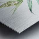 Bush cane illustration  Metal print