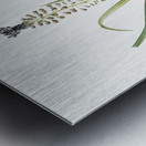 Grape hyacinth illustration  Metal print