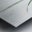 Yellow iris illustration  Metal print