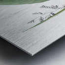 Powdery alligator-flag illustration  Metal print