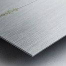 Tofield asphodel illustration  Metal print