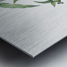 Canada lily illustration  Metal print