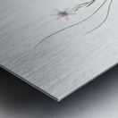 Snowdon lily illustration  Metal print