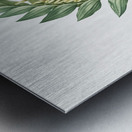 Angular solomon seal illustration  Metal print