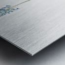 Italian bluebell illustration  Metal print