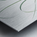 Grass leaved iris illustration  Metal print