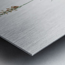 Rush featherling illustration  Metal print