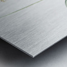 Agave yuccaefolia illustration  Metal print