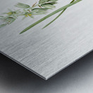 St Bernard lily illustration  Metal print