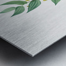 Twistedstalk illustration  Metal print