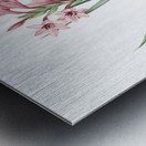 Sword lily illustration  Metal print