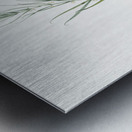 Siberian solomon & seal illustration  Metal print