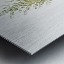 Adam needle illustration  Metal print