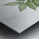 King Solomon seal illustration  Metal print