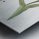 Arrowhead illustration  Metal print