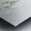 Tall bearded iris illustration  Metal print