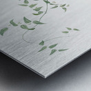 Bridal creeper illustration  Metal print