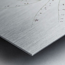 Pale vanilla lily illustration  Metal print