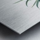 Sansevieria carnea illustration  Metal print