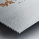 Mossel bay tritonia illustration  Metal print