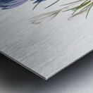 Spring crocus illustration  Metal print