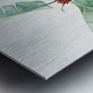 Scarlet banana illustration  Metal print