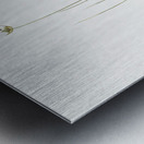 Wild Onion illustration  Impression metal