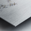 Corn lily illustration  Metal print