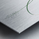 Roman hyacinth illustration  Metal print