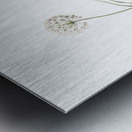 Allium denudatum illustration  Metal print