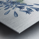 African lily illustration  Metal print