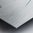 Mouse garlic illustration  Metal print