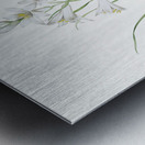 Paradise lily illustration  Metal print