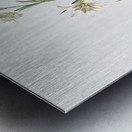 Painted lady illustration  Metal print