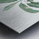 Banana illustration  Metal print