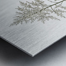 Giant cabuya illustration  Metal print