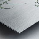 Birdbill dayflower illustration  Metal print