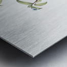 Birdbill dayflower illustration  Metal print