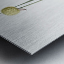 Lopsided onion illustration  Metal print