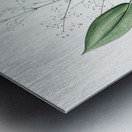 Ixia crispa illustration  Metal print