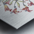 Josephine & lily illustration  Metal print