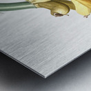 Banana illustration  Metal print