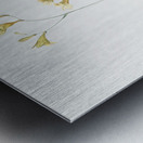 Freesia illustration  Metal print