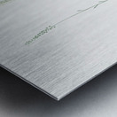 Blazing star illustration  Metal print